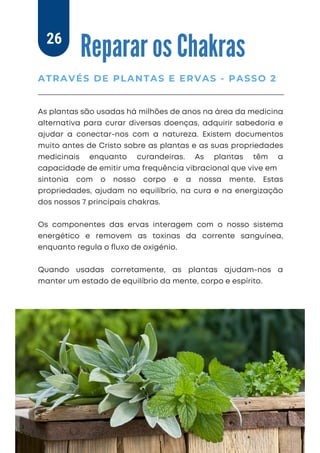 As plantas são usadas há milhões de anos na área da medicina
alternativa para curar diversas doenças, adquirir sabedoria e
ajudar a conectar-nos com a natureza. Existem documentos
muito antes de Cristo sobre as plantas e as suas propriedades
medicinais enquanto curandeiras. As plantas têm a
capacidade de emitir uma frequência vibracional que vive em
sintonia com o nosso corpo e a nossa mente. Estas
propriedades, ajudam no equilíbrio, na cura e na energização
dos nossos 7 principais chakras.
Os componentes das ervas interagem com o nosso sistema
energético e removem as toxinas da corrente sanguínea,
enquanto regula o ﬂuxo de oxigénio.
Quando usadas corretamente, as plantas ajudam-nos a
manter um estado de equilíbrio da mente, corpo e espírito.
Reparar os Chakras
ATRAVÉS DE PLANTAS E ERVAS - PASSO 2
26
 