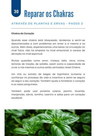 Chakra do Coração
Quando esse chakra está bloqueado, tendemos a sentir-se
desconectados e com problemas em amar a si mesmo e os
outros. Além disso, experienciamos uma baixa na circulação no
nível físico, não há empatia no nível emocional, e carece de
devoção no nível espiritual.
Muitas questões como amor, tristeza, ódio, raiva, ciúme,
temores de traição, de solidão, assim como a capacidade de
curar a nós mesmos e outros estão centradas neste Chakra.
Um chá ou extrato de bagas de Espinheiro aumenta a
confiança no processo da vida e incentiva a sentir-se seguro
ao seguir o seu coração. Também ajuda a fortalecer o coração
e os vasos sanguíneos.
Também pode usar pimenta caiena, jasmim, lavanda,
manjericão, sálvia, tomilho, coentro e salsa para um coração
saudável.
Reparar os Chakras
ATRAVÉS DE PLANTAS E ERVAS - PASSO 2
30
 