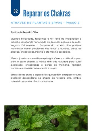Chakra do Terceiro Olho
Quando bloqueado, tendemos a ter falta de imaginação e
intuição, resultando na tomada de decisões pobres e de auto-
engano. Fisicamente, a fraqueza do terceiro olho pode-se
manifestar como problemas nos olhos e ouvidos, dores de
cabeça, enxaquecas, insônia e até mesmo pesadelos.
Menta, jasmim e a ervalhiça eyebright são ervas utilizadas para
abrir o sexto chakra. A menta tem sido utilizada para curar
depressão, enxaquecas e perda de memória. Também
aumenta a conexão entre mente e corpo.
Estas são as ervas e especiarias que podem energizar e curar
qualquer desequilíbrio no chakra do terceiro olho, zimbro,
artemísia, papoula, alecrim e lavanda.
Reparar os Chakras
ATRAVÉS DE PLANTAS E ERVAS - PASSO 2
32
 