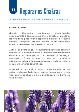 Chakra da Coroa
Quando bloqueado, sentimo-nos desconectados
espiritualmente e passamos a viver sem direção ou propósito.
No nível físico, pode levar a depressão, distúrbios do sistema
nervoso, enxaquecas, amnésia, dislexia, e em casos mais
extremos, delírios cognitivos e doença mental.
As ﬂores de lavanda e de lótus auxiliam a abertura do chakra. A
lavanda traz o alinhamento com a sabedoria divina numa base
diária e é uma erva popular para melhorar a meditação.
Enquanto as folhas de lótus e caules são amplamente
utilizados na culinária japonesa e chinesa, e cada parte tem o
seu próprio conjunto de benefícios.
A Lavanda é a sua melhor aposta, porque funciona bem em
todos os chakras. Pode incluir plantas internamente na sua
vida através de chás, ou externamente como um banho ou
aromaterapia.
Reparar os Chakras
ATRAVÉS DE PLANTAS E ERVAS - PASSO 2
33
 