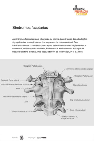 Organização:Conteúdo:
As síndromes facetarias são a inflamação ou edema das estruturas das articulações
zigoapofisárias, em qualquer um dos segmentos da coluna vertebral. Seu
tratamento envolve correção da postura para reduzir o estresse na região lombar e
na cervical, modificação da atividade, Fisioterapia e medicamentos. A cirurgia de
bloqueio facetário é efetiva, mas possui até 50% de recidiva (SILVA et al, 2011).
Síndromes facetarias
 