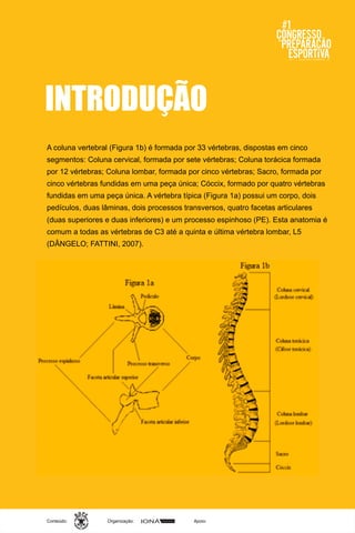 Organização:Conteúdo: Apoio:
INTRODUÇÃO
A coluna vertebral (Figura 1b) é formada por 33 vértebras, dispostas em cinco
segmentos: Coluna cervical, formada por sete vértebras; Coluna torácica formada
por 12 vértebras; Coluna lombar, formada por cinco vértebras; Sacro, formada por
cinco vértebras fundidas em uma peça única; Cóccix, formado por quatro vértebras
fundidas em uma peça única. A vértebra típica (Figura 1a) possui um corpo, dois
pedículos, duas lâminas, dois processos transversos, quatro facetas articulares
(duas superiores e duas inferiores) e um processo espinhoso (PE). Esta anatomia é
comum a todas as vértebras de C3 até a quinta e última vértebra lombar, L5
(DÂNGELO; FATTINI, 2007).
 