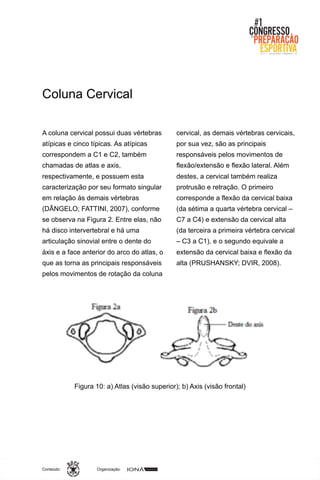 Organização:Conteúdo:
Coluna Cervical
A coluna cervical possui duas vértebras
atípicas e cinco típicas. As atípicas
correspondem a C1 e C2, também
chamadas de atlas e axis,
respectivamente, e possuem esta
caracterização por seu formato singular
em relação às demais vértebras
(DÂNGELO; FATTINI, 2007), conforme
se observa na Figura 2. Entre elas, não
há disco intervertebral e há uma
articulação sinovial entre o dente do
áxis e a face anterior do arco do atlas, o
que as torna as principais responsáveis
pelos movimentos de rotação da coluna
cervical, as demais vértebras cervicais,
por sua vez, são as principais
responsáveis pelos movimentos de
flexão/extensão e flexão lateral. Além
destes, a cervical também realiza
protrusão e retração. O primeiro
corresponde a flexão da cervical baixa
(da sétima a quarta vértebra cervical –
C7 a C4) e extensão da cervical alta
(da terceira a primeira vértebra cervical
– C3 a C1), e o segundo equivale a
extensão da cervical baixa e flexão da
alta (PRUSHANSKY; DVIR, 2008).
Figura 10: a) Atlas (visão superior); b) Axis (visão frontal)
 