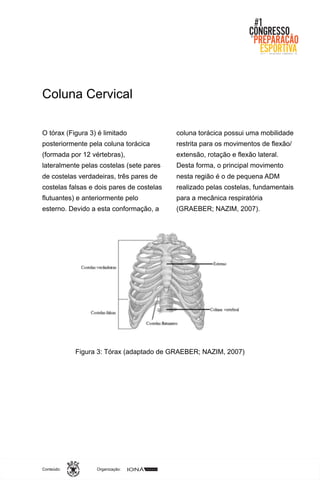 Organização:Conteúdo:
Coluna Cervical
O tórax (Figura 3) é limitado
posteriormente pela coluna torácica
(formada por 12 vértebras),
lateralmente pelas costelas (sete pares
de costelas verdadeiras, três pares de
costelas falsas e dois pares de costelas
flutuantes) e anteriormente pelo
esterno. Devido a esta conformação, a
coluna torácica possui uma mobilidade
restrita para os movimentos de flexão/
extensão, rotação e flexão lateral.
Desta forma, o principal movimento
nesta região é o de pequena ADM
realizado pelas costelas, fundamentais
para a mecânica respiratória
(GRAEBER; NAZIM, 2007).
Figura 3: Tórax (adaptado de GRAEBER; NAZIM, 2007)
 