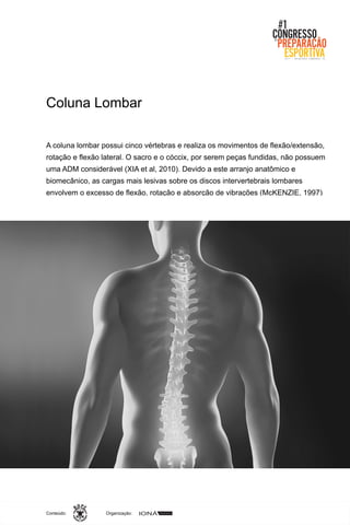 Organização:Conteúdo:
A coluna lombar possui cinco vértebras e realiza os movimentos de flexão/extensão,
rotação e flexão lateral. O sacro e o cóccix, por serem peças fundidas, não possuem
uma ADM considerável (XIA et al, 2010). Devido a este arranjo anatômico e
biomecânico, as cargas mais lesivas sobre os discos intervertebrais lombares
envolvem o excesso de flexão, rotação e absorção de vibrações (McKENZIE, 1997)
Coluna Lombar
 