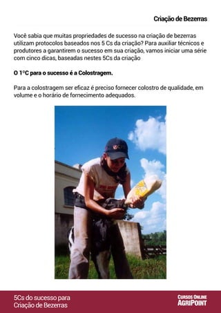 5Csdosucessopara
CriaçãodeBezerras
CriaçãodeBezerras
AGRIPOINT
CURSOS ONLINE
Você sabia que muitas propriedades de sucesso na criação de bezerras
utilizam protocolos baseados nos 5 Cs da criação? Para auxiliar técnicos e
produtores a garantirem o sucesso em sua criação, vamos iniciar uma série
com cinco dicas, baseadas nestes 5Cs da criação
O 1ºC para o sucesso é a Colostragem.
Para a colostragem ser eﬁcaz é preciso fornecer colostro de qualidade, em
volume e o horário de fornecimento adequados.
 