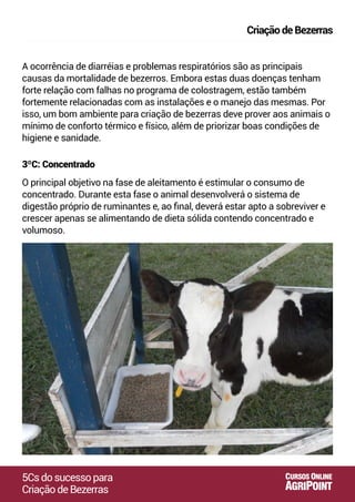 A ocorrência de diarréias e problemas respiratórios são as principais
causas da mortalidade de bezerros. Embora estas duas doenças tenham
forte relação com falhas no programa de colostragem, estão também
fortemente relacionadas com as instalações e o manejo das mesmas. Por
isso, um bom ambiente para criação de bezerras deve prover aos animais o
mínimo de conforto térmico e físico, além de priorizar boas condições de
higiene e sanidade.
3ºC: Concentrado
O principal objetivo na fase de aleitamento é estimular o consumo de
concentrado. Durante esta fase o animal desenvolverá o sistema de
digestão próprio de ruminantes e, ao ﬁnal, deverá estar apto a sobreviver e
crescer apenas se alimentando de dieta sólida contendo concentrado e
volumoso.
5Csdosucessopara
CriaçãodeBezerras
CriaçãodeBezerras
AGRIPOINT
CURSOS ONLINE
 