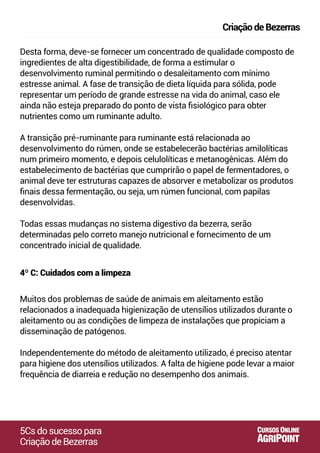 Desta forma, deve-se fornecer um concentrado de qualidade composto de
ingredientes de alta digestibilidade, de forma a estimular o
desenvolvimento ruminal permitindo o desaleitamento com mínimo
estresse animal. A fase de transição de dieta líquida para sólida, pode
representar um período de grande estresse na vida do animal, caso ele
ainda não esteja preparado do ponto de vista ﬁsiológico para obter
nutrientes como um ruminante adulto.
A transição pré-ruminante para ruminante está relacionada ao
desenvolvimento do rúmen, onde se estabelecerão bactérias amilolíticas
num primeiro momento, e depois celulolíticas e metanogênicas. Além do
estabelecimento de bactérias que cumprirão o papel de fermentadores, o
animal deve ter estruturas capazes de absorver e metabolizar os produtos
ﬁnais dessa fermentação, ou seja, um rúmen funcional, com papilas
desenvolvidas.
Todas essas mudanças no sistema digestivo da bezerra, serão
determinadas pelo correto manejo nutricional e fornecimento de um
concentrado inicial de qualidade.
Muitos dos problemas de saúde de animais em aleitamento estão
relacionados a inadequada higienização de utensílios utilizados durante o
aleitamento ou as condições de limpeza de instalações que propiciam a
disseminação de patógenos.
Independentemente do método de aleitamento utilizado, é preciso atentar
para higiene dos utensílios utilizados. A falta de higiene pode levar a maior
frequência de diarreia e redução no desempenho dos animais.
4º C: Cuidados com a limpeza
5Csdosucessopara
CriaçãodeBezerras
CriaçãodeBezerras
AGRIPOINT
CURSOS ONLINE
 