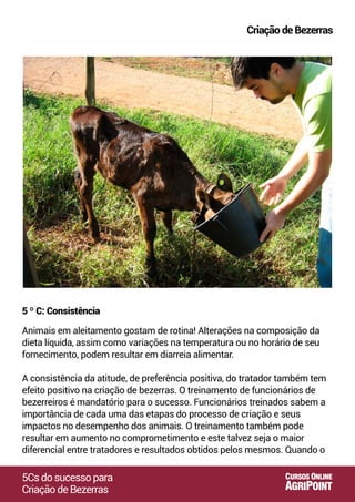 Animais em aleitamento gostam de rotina! Alterações na composição da
dieta líquida, assim como variações na temperatura ou no horário de seu
fornecimento, podem resultar em diarreia alimentar.
A consistência da atitude, de preferência positiva, do tratador também tem
efeito positivo na criação de bezerras. O treinamento de funcionários de
bezerreiros é mandatório para o sucesso. Funcionários treinados sabem a
importância de cada uma das etapas do processo de criação e seus
impactos no desempenho dos animais. O treinamento também pode
resultar em aumento no comprometimento e este talvez seja o maior
diferencial entre tratadores e resultados obtidos pelos mesmos. Quando o
5 º C: Consistência
5Csdosucessopara
CriaçãodeBezerras
CriaçãodeBezerras
AGRIPOINT
CURSOS ONLINE
 