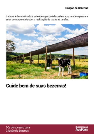 tratador é bem treinado e entende o porquê de cada etapa, também passa a
estar comprometido com a realização de todas as tarefas.
Cuide bem de suas bezerras!
5Csdosucessopara
CriaçãodeBezerras
CriaçãodeBezerras
AGRIPOINT
CURSOS ONLINE
 