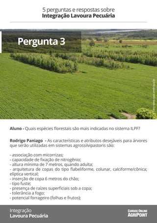 5 perguntas e respostas sobre
Integração Lavoura Pecuária
Integração
Lavoura Pecuária AGRIPOINT
CURSOS ONLINE
Pergunta 3
Aluno - Quais espécies ﬂorestais são mais indicadas no sistema ILPF?
Rodrigo Paniago - As características e atributos desejáveis para árvores
que serão utilizadas em sistemas agrossilvipastoris são:
- associação com micorrizas;
- capacidade de ﬁxação de nitrogênio;
- altura mínima de 7 metros, quando adulta;
- arquitetura de copas do tipo ﬂabeliforme, colunar, calciforme/cônica;
elíptica vertical;
- inserção de copa 6 metros do chão;
- tipo fuste;
- presença de raízes superﬁciais sob a copa;
- tolerância a fogo;
- potencial forrageiro (folhas e frutos);
Foto:www.cpac.embrapa.br
 