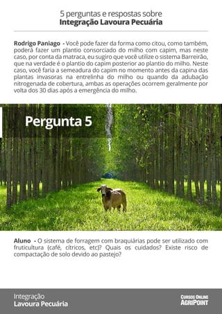 5 perguntas e respostas sobre
Integração Lavoura Pecuária
Integração
Lavoura Pecuária AGRIPOINT
CURSOS ONLINE
Rodrigo Paniago - Você pode fazer da forma como citou, como também,
poderá fazer um plantio consorciado do milho com capim, mas neste
caso, por conta da matraca, eu sugiro que você utilize o sistema Barreirão,
que na verdade é o plantio do capim posterior ao plantio do milho. Neste
caso, você faria a semeadura do capim no momento antes da capina das
plantas invasoras na entrelinha do milho ou quando da adubação
nitrogenada de cobertura, ambas as operações ocorrem geralmente por
volta dos 30 dias após a emergência do milho.
Pergunta 5
Aluno - O sistema de forragem com braquiárias pode ser utilizado com
fruticultura (café, cítricos, etc)? Quais os cuidados? Existe risco de
compactação de solo devido ao pastejo?
 