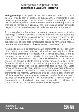 Rodrigo Paniago - Sim, pode ser utilizado. No oeste da Bahia já há casos
de café irrigado com o pastejo de braquiárias. O importante é não
descuidar para o capim crescer demais, causando competição com as
plantas frutíferas, como também escolher bem o momento para iniciar
este tipo de manejo, pois as plantas das frutíferas não podem ser muito
pequenas, caso contrário os animais podem causar danos às mesmas.
A compactação do solo em áreas de lavoura, perene o anuais, motivadas
pela integração com a pecuária é mínima, quando acontece ocorre nos
primeiros centímetros e isso não impede o crescimento das raízes ou uso
eﬁcientes das semeadoras. Contudo, nos locais adjacentes aos
bebedouros e saleiros esta compactação ocorre de forma mais intensa,
mas representa uma área muito pequena em relação ao todo.
Na verdade o pastejo do capim causa um afofamento do solo, por assim
dizer, pois a cada corte do capim pelos animais ou máquina a planta
emite novos perﬁlhos para substituírem as folhas coletadas, a ﬁm de
aumentar a sua área de captação de energia solar, objetivando a
fotossíntese. Conforme esta nova folha vai crescendo e o balanço de
energia ﬁca positivo, a planta passa a guardar novamente a energia em
forma de carboidratos em novas raízes, já que as mais antigas foram
"consumidas" para dar energia ao crescimento daquela nova folha. Desta
forma, crescimento de novas raízes e o consumo das mais antigas vai
criando pequenos canalículos no solo, causando uma espécie de
afofamento do mesmo. Lembrando que os animais consomem em
média apenas 50% do que a planta do capim produz de folha e talo, o
restante vai ﬁcando sobre o solo aumentando a matéria orgânica,
aumentando a ﬂexibilidade do solo, reduzindo os efeitos da
compactação, seja por parte dos bovinos ou de máquinas.
5 perguntas e respostas sobre
Integração Lavoura Pecuária
Integração
Lavoura Pecuária AGRIPOINT
CURSOS ONLINE
 