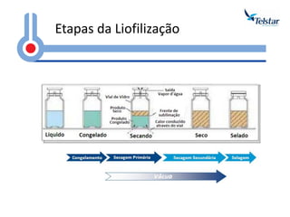 Etapas da Liofilização  