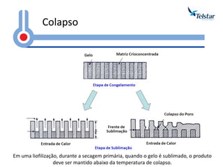 Colapso 
Em uma liofilização, durante a secagem primária, quando o gelo é sublimado, o produto deve ser mantido abaixo da temperatura de colapso.  