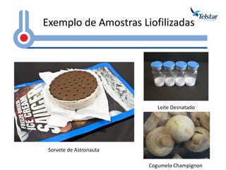Exemplo de Amostras Liofilizadas Leite Desnatado 
Cogumelo Champignon 
Sorvete de Astronauta  
