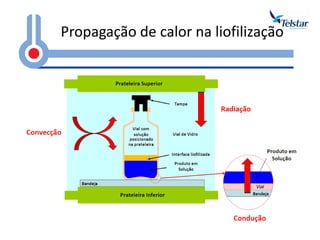 Propagação de calor na liofilização  