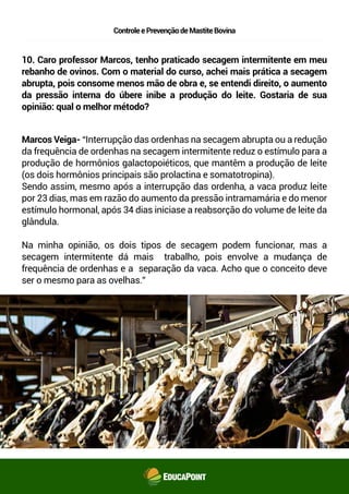 ControleePrevençãodeMastiteBovina
10. Caro professor Marcos, tenho praticado secagem intermitente em meu
rebanho de ovinos. Com o material do curso, achei mais prática a secagem
abrupta, pois consome menos mão de obra e, se entendi direito, o aumento
da pressão interna do úbere inibe a produção do leite. Gostaria de sua
opinião: qual o melhor método?
Marcos Veiga- “Interrupção das ordenhas na secagem abrupta ou a redução
da frequência de ordenhas na secagem intermitente reduz o estímulo para a
produção de hormônios galactopoiéticos, que mantêm a produção de leite
(os dois hormônios principais são prolactina e somatotropina).
Sendo assim, mesmo após a interrupção das ordenha, a vaca produz leite
por 23 dias, mas em razão do aumento da pressão intramamária e do menor
estímulo hormonal, após 34 dias inicia-se a reabsorção do volume de leite
da glândula.
Na minha opinião, os dois tipos de secagem podem funcionar, mas a
secagem intermitente dá mais trabalho, pois envolve a mudança de
frequência de ordenhas e a separação da vaca. Acho que o conceito deve
ser o mesmo para as ovelhas.”
 