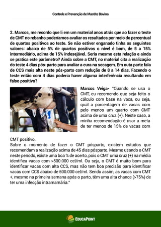 ControleePrevençãodeMastiteBovina
2. Marcos, me recordo que li em um material anos atrás que ao fazer o teste
de CMT no rebanho poderíamos avaliar os resultados por meio do percentual
de quartos positivos ao teste. Se não estiver enganado tinha os seguintes
valores: abaixo de 5% de quartos positivos o nível é bom, de 5 a 15%
intermediário, acima de 15% indesejável. Seria mesmo esta relação e ainda
se pratica este parâmetro? Ainda sobre a CMT, no material cita a realização
do teste 4 dias pós-parto para avaliar a cura na secagem. Em outa parte fala
de CCS mais alta neste pós-parto com redução de 8 a 14 dias. Fazendo o
teste então com 4 dias poderia haver alguma interferência resultando em
falso positivo?
Marcos Veiga- “Quando se usa o
CMT, eu recomendo que seja feito o
cálculo com base na vaca, ou seja,
qual a porcentagem de vacas com
pelo menos um quarto com CMT
acima de uma cruz (+). Neste caso, a
minha recomendação é usar a meta
de ter menos de 15% de vacas com
CMT positivo.
Sobre o momento de fazer o CMT pós-parto, existem estudos que
recomendam a realização acima de 45 dias pós-parto. Mesmo usando o
CMT neste período, existe uma boa % de acerto, pois o CMT uma cruz (+) na
média identiﬁca vacas com >500.000 cel/ml. Ou seja, o CMT é muito bom
para identiﬁcar vacas com alta CCS, mas não tem boa precisão para
identiﬁcar vacas com CCS abaixo de 500.000 cel/ml. Sendo assim, as vacas
com CMT +, mesmo na primeira semana após o parto, têm uma alta chance
(>75%) de ter uma infecção intramamária.”
 