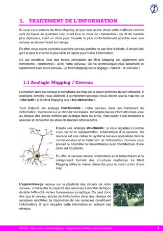 SIGNOS – Notre cerveau et le Mind Mapping – ©Reproduction et diffusion à des tiers interdites 4
1. TRAITEMENT DE L'INFORMATION
1.1 Analogie Mapping / Cerveau
 