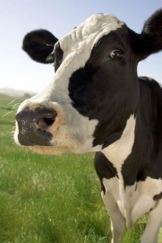 4 O manual secreto do marketing
 