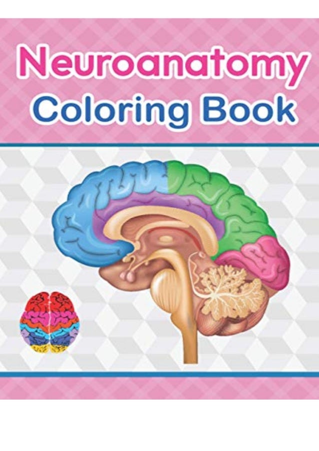 Download Ebook Pdf Download Neuroanatomy Coloring Book The Ultimate Human Br