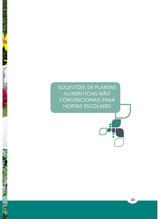 23
SUGESTÕES DE PLANTAS
ALIMENTÍCIAS NÃO
CONVENCIONAIS PARA
HORTAS ESCOLARES
 
