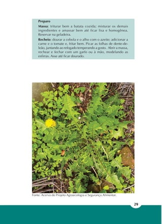 29
Fonte: Acervo do Projeto Agroecologia e Segurança Alimentar.
Preparo
Massa: triturar bem a batata cozida; misturar os demais
ingredientes e amassar bem até ficar lisa e homogênea.
Reservar na geladeira.
Recheio: dourar a cebola e o alho com o azeite; adicionar a
carne e o tomate e, fritar bem. Picar as folhas de dente-de-
leão, juntando ao refogado temperando a gosto. Abrir a massa,
rechear e fechar com um garfo ou à mão, modelando as
esfirras. Asse até ficar dourado.
 