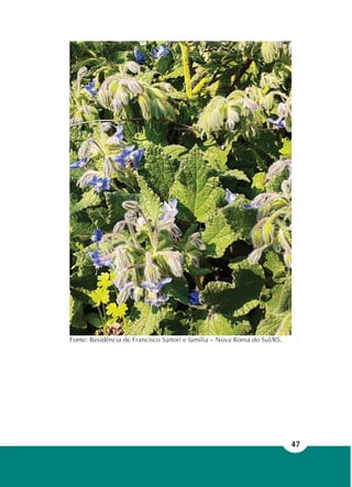 47
Fonte: Residência de Francisco Sartori e família – Nova Roma do Sul/RS.
 