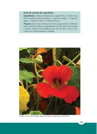 53
Picles de semente de capuchinha
Ingredientes: 200g de sementes de capuchinha, 1 colher rasa
de sal, pimenta rosa em grãos, ½ copo de vinagre, ½ copo de
água, ½ dente de alho, ½ folha de louro.
Preparo: fazer uma salmoura com sal, água morna e folha de
louro. Misturar todos os ingredientes em um vidro com tampa
e fechar. Manter em geladeira por até 30 dias. Servir com
carnes ou como tempero a saladas.
Fonte: Acervo do Projeto Agroecologia e Segurança Alimentar.
 