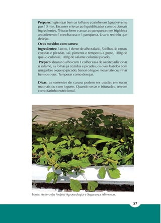 57
Fonte: Acervo do Projeto Agroecologia e Segurança Alimentar.
Preparo: higienizar bem as folhas e cozinhe em água fervente
por 10 min. Escorrer e levar ao liquidificador com os demais
ingredientes. Triturar bem e assar as panquecas em frigideira
antiaderente: 1concha rasa = 1 panqueca. Usar o recheio que
desejar.
Ovos mexidos com caruru
Ingredientes: 3 ovos, 1 dente de alho ralado, 5 folhas de caruru
cozidas e picadas, sal, pimenta e temperos a gosto, 100g de
queijo colonial, 100g de salame colonial picado.
Preparo: dourar o alho com 1 colher rasa de azeite; adicionar
o salame, as folhas já cozidas e picadas, os ovos batidos com
um garfo e o queijo picado; baixar o fogo e mexer até cozinhar
bem os ovos. Temperar como desejar.
Dicas: as sementes de caruru podem ser usadas em sucos
matinais ou com iogurte. Quando secas e trituradas, servem
como farinha nutricional.
 