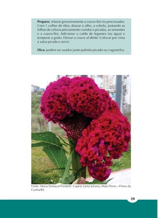 59
Fonte: Maria Somacal Pandolfi. Capela Santa Juliana, Mato Perso – Flores da
Cunha/RS.
Preparo: triturar grosseiramente a couve-flor no processador.
Com 1 colher de óleo, dourar o alho, a cebola, juntando as
folhas de celosia previamente cozidas e picadas, as sementes
e a couve-flor. Adicionar o caldo de legumes (ou água) e
temperar a gosto. Deixar a couve al dente. Colocar por cima
a salsa picada e servir.
Dica: podem ser usados junto palmito picado ou cogumelos.
 