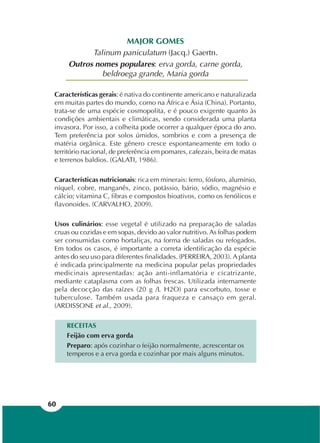 60
MAJOR GOMES
Talinum paniculatum (Jacq.) Gaertn.
Outros nomes populares: erva gorda, carne gorda,
beldroega grande, Maria gorda
Características gerais: é nativa do continente americano e naturalizada
em muitas partes do mundo, como na África e Ásia (China). Portanto,
trata-se de uma espécie cosmopolita, e é pouco exigente quanto às
condições ambientais e climáticas, sendo considerada uma planta
invasora. Por isso, a colheita pode ocorrer a qualquer época do ano.
Tem preferência por solos úmidos, sombrios e com a presença de
matéria orgânica. Este gênero cresce espontaneamente em todo o
território nacional, de preferência em pomares, cafezais, beira de matas
e terrenos baldios. (GALATI, 1986).
Características nutricionais: rica em minerais: ferro, fósforo, alumínio,
níquel, cobre, manganês, zinco, potássio, bário, sódio, magnésio e
cálcio; vitamina C, fibras e compostos bioativos, como os fenólicos e
flavonoides. (CARVALHO, 2009).
Usos culinários: esse vegetal é utilizado na preparação de saladas
cruas ou cozidas e em sopas, devido ao valor nutritivo. As folhas podem
ser consumidas como hortaliças, na forma de saladas ou refogados.
Em todos os casos, é importante a correta identificação da espécie
antes do seu uso para diferentes finalidades. (PERREIRA, 2003). A planta
é indicada principalmente na medicina popular pelas propriedades
medicinais apresentadas: ação anti-inflamatória e cicatrizante,
mediante cataplasma com as folhas frescas. Utilizada internamente
pela decocção das raízes (20 g /L H2O) para escorbuto, tosse e
tuberculose. Também usada para fraqueza e cansaço em geral.
(ARDISSONE et al., 2009).
RECEITAS
Feijão com erva gorda
Preparo: após cozinhar o feijão normalmente, acrescentar os
temperos e a erva gorda e cozinhar por mais alguns minutos.
 