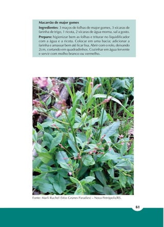 61
Macarrão de major gomes
Ingredientes: 3 maços de folhas de major gomes, 3 xícaras de
farinha de trigo, 1 ricota, 2 xícaras de água morna, sal a gosto.
Preparo: higienizar bem as folhas e triturar no liquidificador
com a água e a ricota. Colocar em uma bacia; adicionar a
farinha e amassar bem até ficar lisa. Abrir com o rolo, deixando
2cm, cortando em quadradinhos. Cozinhar em água fervente
e servir com molho branco ou vermelho.
Fonte: Marli Ruchel (Sítio Grünes Paradies) – Nova Petrópolis/RS.
 