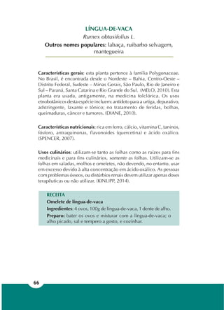 66
LÍNGUA-DE-VACA
Rumex obtusifolius L.
Outros nomes populares: labaça, ruibarbo selvagem,
mantegueira
Características gerais: esta planta pertence à família Polygonaceae.
No Brasil, é encontrada desde o Nordeste – Bahia, Centro-Oeste –
Distrito Federal, Sudeste – Minas Gerais, São Paulo, Rio de Janeiro e
Sul – Paraná, Santa Catarina e Rio Grande do Sul. (MELO, 2010). Esta
planta era usada, antigamente, na medicina folclórica. Os usos
etnobotânicos desta espécie incluem: antídoto para a urtiga, depurativo,
adstringente, laxante e tônico; no tratamento de feridas, bolhas,
queimaduras, câncer e tumores. (DIANE, 2010).
Características nutricionais: rica em ferro, cálcio, vitamina C, taninos,
fósforo, antraquinonas, flavonoides (quercetina) e ácido oxálico.
(SPENCER, 2007).
Usos culinários: utilizam-se tanto as folhas como as raízes para fins
medicinais e para fins culinários, somente as folhas. Utilizam-se as
folhas em saladas, molhos e omeletes, não devendo, no entanto, usar
em excesso devido à alta concentração em ácido oxálico. As pessoas
com problemas ósseos, ou distúrbios renais devem utilizar apenas doses
terapêuticas ou não utilizar. (KINUPP, 2014).
RECEITA
Omelete de língua-de-vaca
Ingredientes: 4 ovos, 100g de língua-de-vaca, 1 dente de alho.
Preparo: bater os ovos e misturar com a língua-de-vaca; o
alho picado, sal e tempero a gosto, e cozinhar.
 