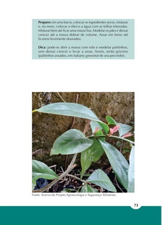 73
Fonte: Acervo do Projeto Agroecologia e Segurança Alimentar.
Preparo: em uma bacia, colocar os ingredientes secos, misturar
e, no meio, colocar o óleo e a água com as folhas trituradas.
Misturar bem até ficar uma massa lisa. Modelar os pães e deixar
crescer até a massa dobrar de volume. Assar em forno até
ficarem levemente dourados.
Dica: pode-se abrir a massa com rolo e modelar palitinhos,
sem deixar crescer e levar a assar. Assim, serão grissinis
(palitinhos assados, em italiano gressino) de ora-pro-nobis.
 