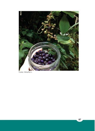 87
Fonte: Minello L.
 