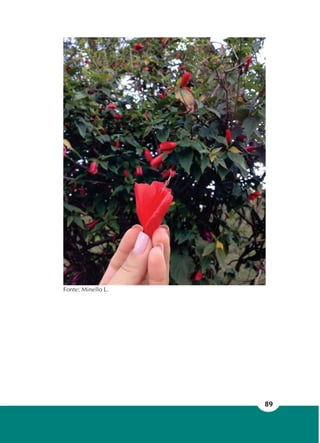 89
Fonte: Minello L.
 