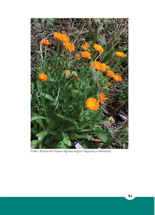 93
Fonte: Acervo do Projeto Agroecologia e Segurança Alimentar.
 