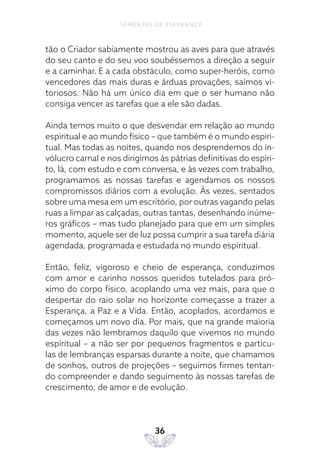 36
SEMENTES DE ESPERANÇA
tão o Criador sabiamente mostrou as aves para que através
do seu canto e do seu voo soubéssemos a direção a seguir
e a caminhar. E a cada obstáculo, como super-heróis, como
vencedores das mais duras e árduas provações, saímos vi-
toriosos. Não há um único dia em que o ser humano não
consiga vencer as tarefas que a ele são dadas.
Ainda temos muito o que desvendar em relação ao mundo
espiritual e ao mundo físico – que também é o mundo espiri-
tual. Mas todas as noites, quando nos desprendemos do in-
vólucro carnal e nos dirigimos às pátrias definitivas do espíri-
to, lá, com estudo e com conversa, e às vezes com trabalho,
programamos as nossas tarefas e agendamos os nossos
compromissos diários com a evolução. Às vezes, sentados
sobre uma mesa em um escritório, por outras vagando pelas
ruas a limpar as calçadas, outras tantas, desenhando inúme-
ros gráficos – mas tudo planejado para que em um simples
momento, aquele ser de luz possa cumprir a sua tarefa diária
agendada, programada e estudada no mundo espiritual.
Então, feliz, vigoroso e cheio de esperança, conduzimos
com amor e carinho nossos queridos tutelados para pró-
ximo do corpo físico, acoplando uma vez mais, para que o
despertar do raio solar no horizonte começasse a trazer a
Esperança, a Paz e a Vida. Então, acoplados, acordamos e
começamos um novo dia. Por mais, que na grande maioria
das vezes não lembramos daquilo que vivemos no mundo
espiritual – a não ser por pequenos fragmentos e partícu-
las de lembranças esparsas durante a noite, que chamamos
de sonhos, outros de projeções – seguimos firmes tentan-
do compreender e dando seguimento às nossas tarefas de
crescimento, de amor e de evolução.
 