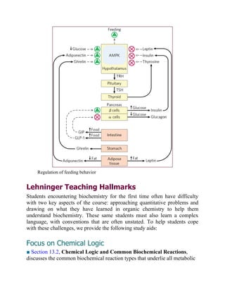 Principles of Biochemistry | PDF