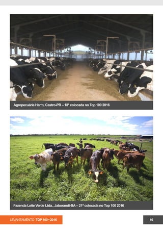 LEVANTAMENTO TOP 100 • 2016 16
Agropecuária Harm, Castro-PR – 18ª colocada no Top 100 2016
Fazenda Leite Verde Ltda., Jaborandi-BA– 21ª colocada no Top 100 2016
 