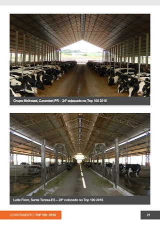 LEVANTAMENTO TOP 100 • 2016 21
Grupo Melkstad, Carambeí-PR – 24º colocado no Top 100 2016
Leite Fiore, Santa Teresa-ES – 28º colocado no Top 100 2016
 