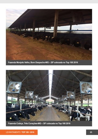 LEVANTAMENTO TOP 100 • 2016 23
Fazenda Monjolo Velho, Bom Despacho-MG – 29ª colocada no Top 100 2016
Fazenda Cobiça, Três Corações-MG – 30ª colocada no Top 100 2016
 