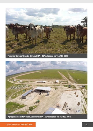 LEVANTAMENTO TOP 100 • 2016 34
Fazenda Campo Grande, Ibirapuã-BA– 59ª colocada no Top 100 2016
Agropecuária Sete Copas, Jaborandi-BA– 62ª colocada no Top 100 2016
 
