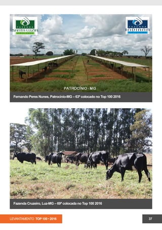 LEVANTAMENTO TOP 100 • 2016 37
Fernando Peres Nunes, Patrocínio-MG – 63º colocado no Top 100 2016
Fazenda Cruzeiro, Luz-MG – 69ª colocada no Top 100 2016
 
