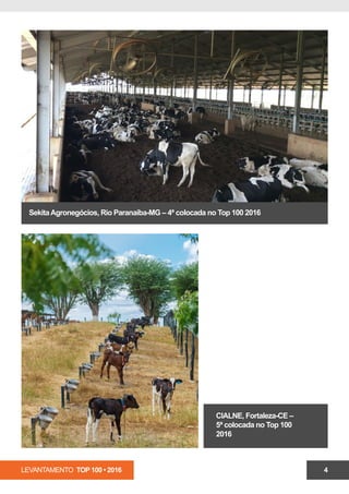 LEVANTAMENTO TOP 100 • 2016 4
SekitaAgronegócios, Rio Paranaíba-MG – 4ª colocada no Top 100 2016
CIALNE, Fortaleza-CE –
5ª colocada no Top 100
2016
 