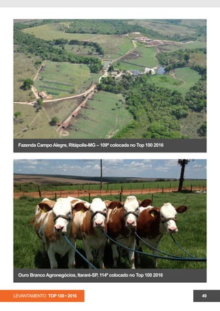 LEVANTAMENTO TOP 100 • 2016 49
Fazenda CampoAlegre, Ritápolis-MG – 109ª colocada no Top 100 2016
Ouro BrancoAgronegócios, Itararé-SP, 114º colocado no Top 100 2016
 