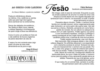 Poeta em ditirâmbicos olhares
na métrica, rima, cadência ou samba
sabe que para fugir dos lugares
deve aventurar-se na corda bamba.
Dança dos aleijados da existência...
Teu cântico é febril, louco, latente,
a volúpia Sagrada e inconsequente
de quem xinga à Deus sua deﬁciência.
Come (!) como um profeta em fúria sã
o cão sublimar de loucos orgasmos
da pobre desordem da vida vã.
E sejas p'ra mim somente esse cego
preso na sorte da vida cristã
alimentando-se de porra e ego.
Diego El Khouri
molholivre.blogspot.com
Fábio Barbosa
facebook.com/rebococaido
Ele chegou cedo à casa da namorada. Enquanto os pais
da amada acabavam de arrumar no andar de cima e ela
limpava a bunda depois de uma cagada daquelas que
lambrecam todo o entorno, se acomodou no sofá. O jantar
ainda demoraria um pouco.
Passados alguns minutos, Tristão, o cachorro da da
família (um vira-lata imenso), entrou vagarosamente pela
sala cheirando o ar como quem não queria nada. Veio até
sua perna e cheirou. Distraído, pensando em como faria o
pedido de noivado, fez um cafuné na cabeçorra da
criatura. Em um salto repentino, Tristão agarrou sua perna
e com movimentos repetidos, começou a esfregar a
cabeça pontiaguda de seu orgão reprodutor. Chocado, o
cavalheiro tentou tirar o mamute de cima da sua perna.
Tristão resistia bravamente, mas com doçura.
Não havia jeito. Mal conseguia afastar o cão e ele já
voltava ofegante. Os anﬁtriões desceram e se espantaram
com a estranha conduta do animal. Tentaram de tudo,
mas era impossível tirar o cachorro de sua paixão. Por
ﬁm, o caso virou graça e o rapaz foi embora sem pedir a
mão de sua amada. Tristão o acompanhou até o quintal,
onde, depois de muita luta, conseguiram afastá-lo da
lambuzada perna. Ao ouvir o bater do portão, o cachorro
correu para as grades e ﬁcou apreciando aquela perna se
afastar. Passando por sua irmã gêmea, sumiu
apressadamente pela rua.
O que restou foi um animal triste, sentado no portão.
Iria permanecer assim até a próxima visita.
Tesão
facebook.com/ameopoema
AMEOPO MAE
AO BRUXO COM CARINHO
Ao Glauco Mattoso, o poeta da crueldade
 