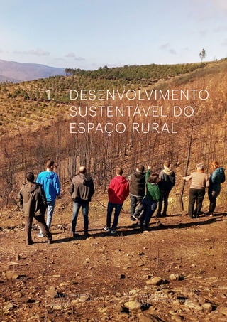 17
498
1. DÉVELOPPEMENT
DURABLE DES ZONES
RURALES
1. SUSTAINABLE
DEVELOPMENT OF RURAL
SPACE
DESENVOLVIMENTO
SUSTENTÁVEL DO
ESPAÇO RURAL
1.
 